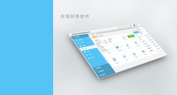 web在線財(cái)務(wù)產(chǎn)品